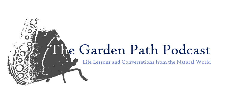 The Garden Path Podcast: All About Ned