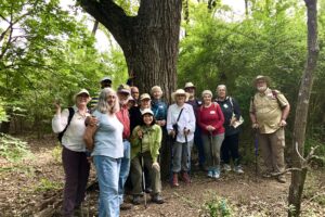 Ned Fritz Day walk in the Bonton Woods – Sept 21 Sun